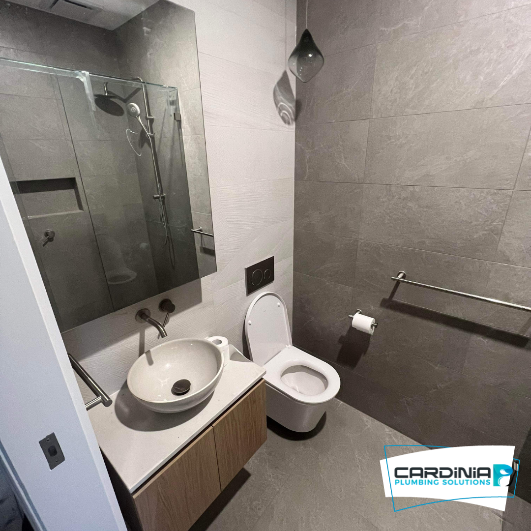 Toilet Repair